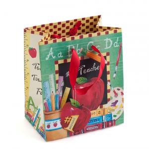 Small Teacher Gift Bag