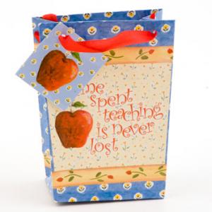 Time Spent Teaching  Mini Gift Bag
